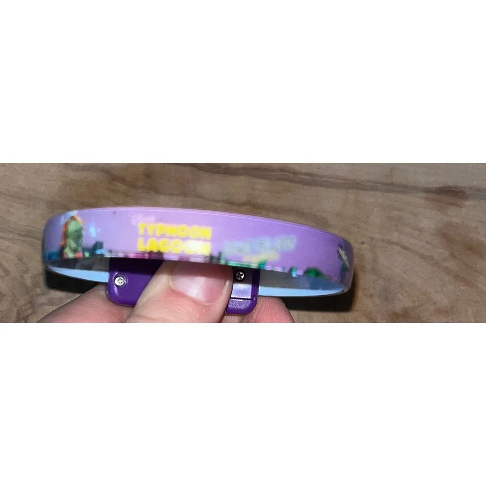 Disney parks magicband